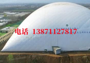 大名气膜棚卷帘门,电动门